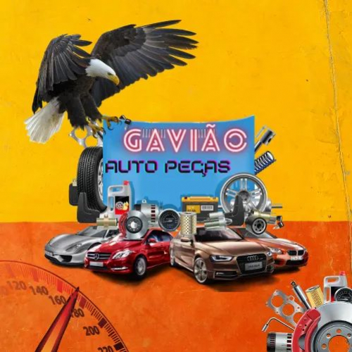 GAVIÃO AUTO PEÇAS Morro Agudo SP