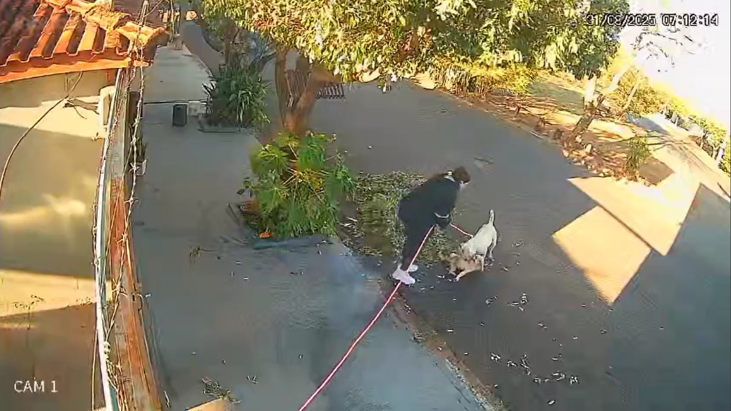 foto Not&iacute;cia Morro Agudo